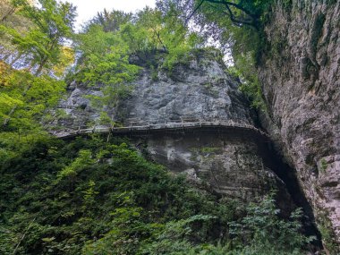 Slovenya 'daki derin Pokljuka Vadisi sarp kayalıklarla, sık ormanlarla ve yürüyüş yollarıyla çevrili..