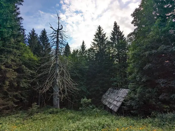 Slovenya 'daki Logar Vadisi' nde manzaralı dağlar, ahşap yerel kulübeler ve geleneksel alp çiftlikleri var..