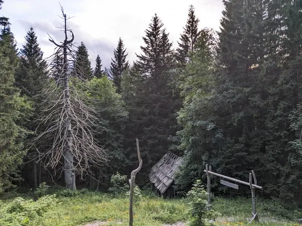 Slovenya 'daki Logar Vadisi' nde manzaralı dağlar, ahşap yerel kulübeler ve geleneksel alp çiftlikleri var..