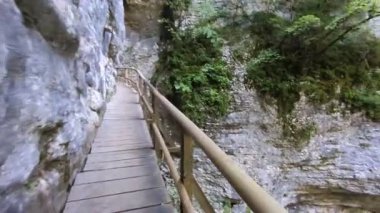 Slovenya 'daki derin Pokljuka Vadisi sarp kayalıklarla, sık ormanlarla ve yürüyüş yollarıyla çevrili..