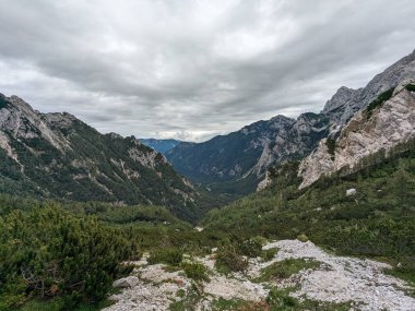 Sloven Alplerinin tepelerinin bulutlarla kaplı olduğu Logarska Dolina Vadisi 'nin panoramik manzarası.