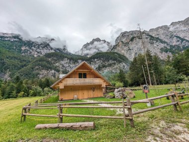 Slovenya 'daki Logar Vadisi' nde manzaralı dağlar, ahşap yerel kulübeler ve geleneksel alp çiftlikleri var..
