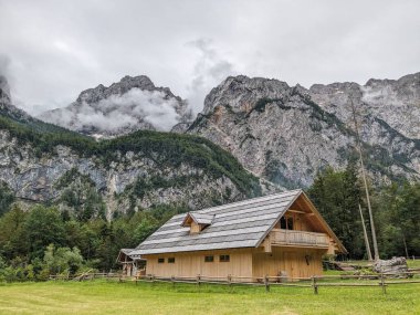 Slovenya 'daki Logar Vadisi' nde manzaralı dağlar, ahşap yerel kulübeler ve geleneksel alp çiftlikleri var..