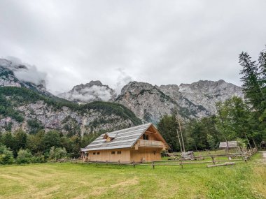 Slovenya 'daki Logar Vadisi' nde manzaralı dağlar, ahşap yerel kulübeler ve geleneksel alp çiftlikleri var..