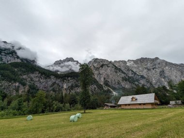 Slovenya 'daki Logar Vadisi' nde manzaralı dağlar, ahşap yerel kulübeler ve geleneksel alp çiftlikleri var..