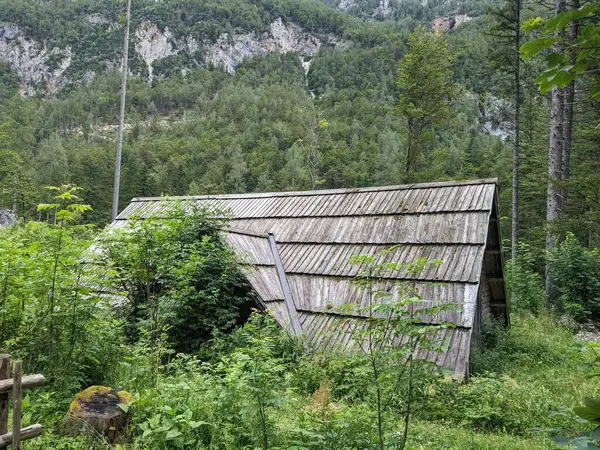Slovenya 'daki Logar Vadisi' nde manzaralı dağlar, ahşap yerel kulübeler ve geleneksel alp çiftlikleri var..