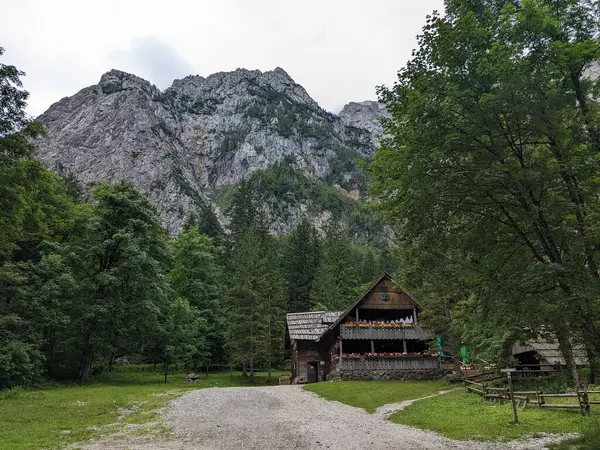 Slovenya 'daki Logar Vadisi' nde manzaralı dağlar, ahşap yerel kulübeler ve geleneksel alp çiftlikleri var..