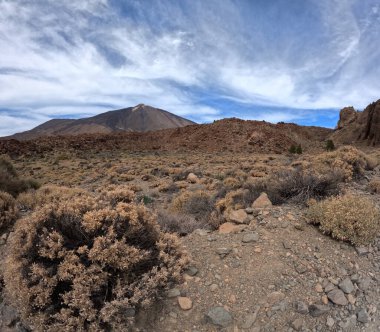 Tenerife Panorama manzarası, İspanya 'nın Kanarya Adaları' ndaki Tenerife Adası 'ndaki yürüyüş gezilerinden güzel doğa manzaralı dağlar.