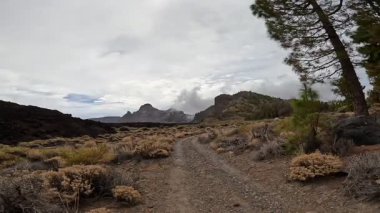 Tenerife Panorama manzarası, İspanya 'nın Kanarya Adaları' ndaki Tenerife Adası 'ndaki yürüyüş gezilerinden güzel doğa manzaralı dağlar.