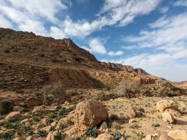 Ürdün Patikası Dana Vadisi 'nden Petra' ya ve Wadi Rum.Wadi Rum Çölü 'ne, Ürdün. Kızıl çöl ve Jabal Al Qattar dağları, Arabistan