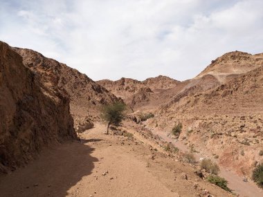 Ürdün Patikası Dana Vadisi 'nden Petra' ya ve Wadi Rum.Wadi Rum Çölü 'ne, Ürdün. Kızıl çöl ve Jabal Al Qattar dağları, Arabistan