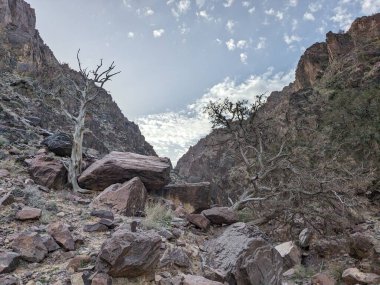 Ürdün Patikası Dana Vadisi 'nden Petra' ya ve Wadi Rum.Wadi Rum Çölü 'ne, Ürdün. Kızıl çöl ve Jabal Al Qattar dağları, Arabistan