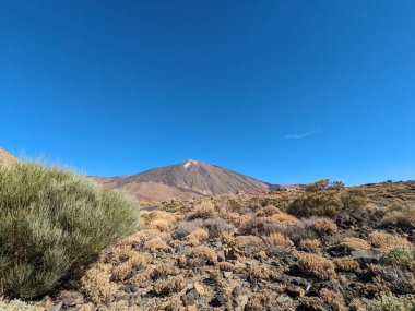 Tenerife Panorama manzarası, İspanya 'nın Kanarya Adaları' ndaki Tenerife Adası 'ndaki yürüyüş gezilerinden güzel doğa manzaralı dağlar.