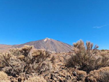 Tenerife Panorama manzarası, İspanya 'nın Kanarya Adaları' ndaki Tenerife Adası 'ndaki yürüyüş gezilerinden güzel doğa manzaralı dağlar.