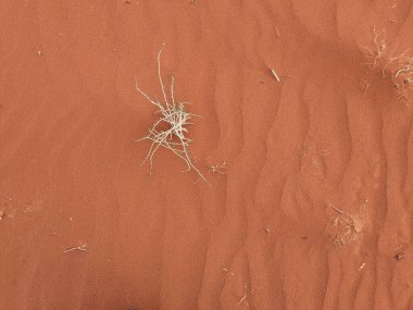 Turuncu renkli kum desenli arka plan. Wadi Rum Çölü, Ürdün, Arabistan manzaralı güzel manzara, çölde kırmızı portakallı kuma yakın çekim