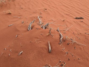 Turuncu renkli kum desenli arka plan. Wadi Rum Çölü, Ürdün, Arabistan manzaralı güzel manzara, çölde kırmızı portakallı kuma yakın çekim