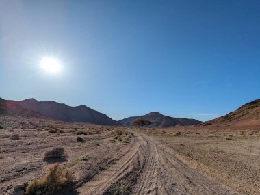 Wadi Rum Desert, Jordan. The red desert and Jabal Al Qattar mountain.Where some famous movies where shot,Star Wars,Lawrence of Arabia.