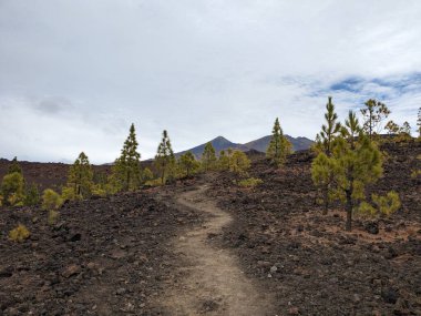 Tenerife Panorama manzarası, İspanya 'nın Kanarya Adaları' ndaki Tenerife Adası 'ndaki yürüyüş gezilerinden güzel doğa manzaralı dağlar.