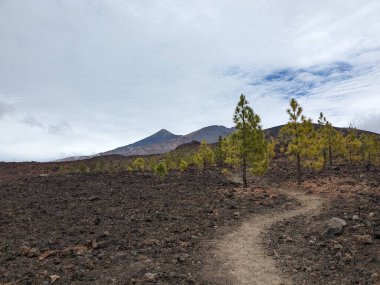 Tenerife Panorama manzarası, İspanya 'nın Kanarya Adaları' ndaki Tenerife Adası 'ndaki yürüyüş gezilerinden güzel doğa manzaralı dağlar.