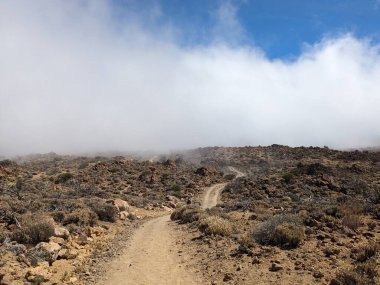 Tenerife Panorama manzarası, İspanya 'nın Kanarya Adaları' ndaki Tenerife Adası 'ndaki yürüyüş gezilerinden güzel doğa manzaralı dağlar.