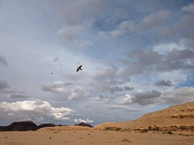 Wadi Rum Desert, Jordan. The red desert and Jabal Al Qattar mountain.Where some famous movies where shot,Star Wars,Lawrence of Arabia.