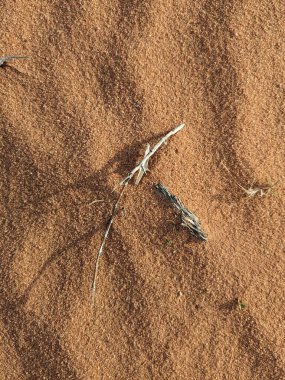 Turuncu renkli kum desenli arka plan. Wadi Rum Çölü, Ürdün, Arabistan manzaralı güzel manzara, çölde kırmızı portakallı kuma yakın çekim