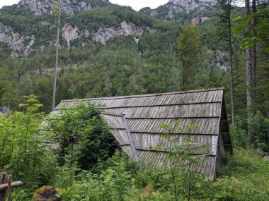Slovenya 'daki Logar Vadisi' nde manzaralı dağlar, ahşap yerel kulübeler ve geleneksel alp çiftlikleri var..