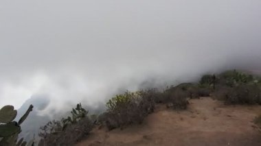 Tenerife Dağları, Kanarya Adaları, İspanya 'nın Kanarya Adaları' ndaki volkanik adaların manzaralı kayalarında çıkan orman yangınlarını gösteren bir yürüyüş sırasında çekilmiş manzara..