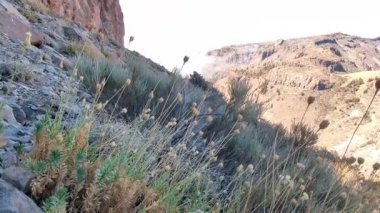 Tenerife Dağları, Kanarya Adaları, İspanya 'nın Kanarya Adaları' ndaki volkanik adaların manzaralı kayalarında çıkan orman yangınlarını gösteren bir yürüyüş sırasında çekilmiş manzara..