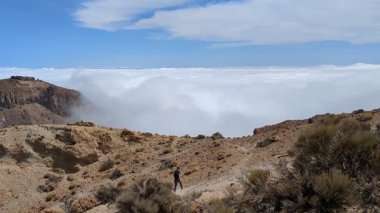 Tenerife Dağları, Kanarya Adaları, İspanya 'nın Kanarya Adaları' ndaki volkanik adaların manzaralı kayalarında çıkan orman yangınlarını gösteren bir yürüyüş sırasında çekilmiş manzara..