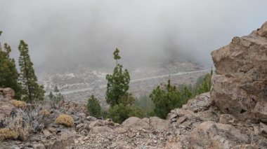 Tenerife Dağları, Kanarya Adaları, İspanya 'nın Kanarya Adaları' ndaki volkanik adaların manzaralı kayalarında çıkan orman yangınlarını gösteren bir yürüyüş sırasında çekilmiş manzara..