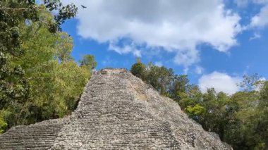 Meksika Yucatan Yarımadası 'ndaki Tulum yakınlarındaki yemyeşil ormanda COBA antik Maya piramitleri. Meksika Amerika