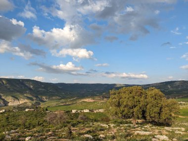 Wadi Zahar, Ürdün 'ün Irbid bölgesinde yer alan bir vadidir. Umm Qais 'den Ürdün yolunda yürümek, dağ manzarası