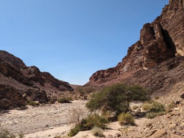 Ürdün Patikası Dana Vadisi 'nden Petra' ya ve Wadi Rum.Wadi Rum Çölü 'ne, Ürdün. Kızıl çöl ve Jabal Al Qattar dağları, Arabistan