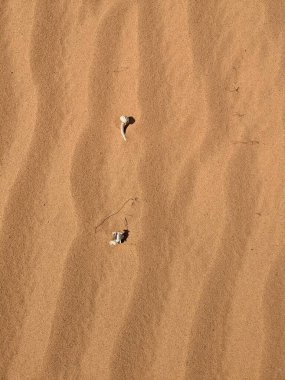 Wadi Rum Desert, Jordan. The red desert and Jabal Al Qattar mountain.Where some famous movies where shot,Star Wars,Lawrence of Arabia.