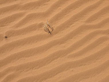 Turuncu renkli kum desenli arka plan. Wadi Rum Çölü, Ürdün, Arabistan manzaralı güzel manzara, çölde kırmızı portakallı kuma yakın çekim