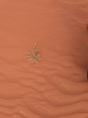 Turuncu renkli kum desenli arka plan. Wadi Rum Çölü, Ürdün, Arabistan manzaralı güzel manzara, çölde kırmızı portakallı kuma yakın çekim