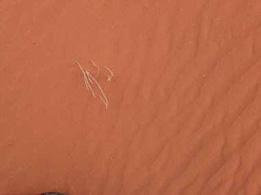 Turuncu renkli kum desenli arka plan. Wadi Rum Çölü, Ürdün, Arabistan manzaralı güzel manzara, çölde kırmızı portakallı kuma yakın çekim