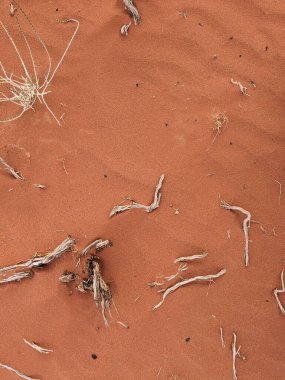Wadi Rum Desert, Jordan. The red desert and Jabal Al Qattar mountain.Where some famous movies where shot,Star Wars,Lawrence of Arabia.
