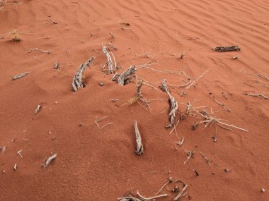 Wadi Rum Desert, Jordan. The red desert and Jabal Al Qattar mountain.Where some famous movies where shot,Star Wars,Lawrence of Arabia.