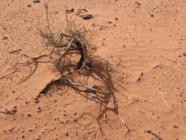 Wadi Rum Desert, Jordan. The red desert and Jabal Al Qattar mountain.Where some famous movies where shot,Star Wars,Lawrence of Arabia.