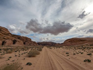 Wadi Rum Desert, Jordan. The red desert and Jabal Al Qattar mountain.Where some famous movies where shot,Star Wars,Lawrence of Arabia.
