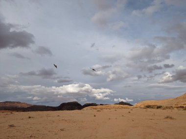 Ürdün Patikası Dana Vadisi 'nden Petra' ya ve Wadi Rum.Wadi Rum Çölü 'ne, Ürdün. Kızıl çöl ve Jabal Al Qattar dağları, Arabistan