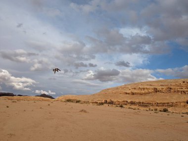 Wadi Rum Desert, Jordan. The red desert and Jabal Al Qattar mountain.Where some famous movies where shot,Star Wars,Lawrence of Arabia.