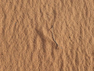 Turuncu renkli kum desenli arka plan. Wadi Rum Çölü, Ürdün, Arabistan manzaralı güzel manzara, çölde kırmızı portakallı kuma yakın çekim