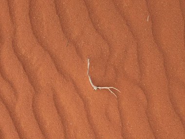 Turuncu renkli kum desenli arka plan. Wadi Rum Çölü, Ürdün, Arabistan manzaralı güzel manzara, çölde kırmızı portakallı kuma yakın çekim