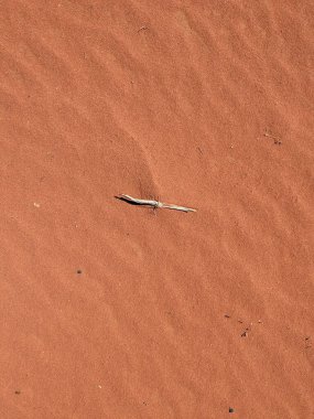 Turuncu renkli kum desenli arka plan. Wadi Rum Çölü, Ürdün, Arabistan manzaralı güzel manzara, çölde kırmızı portakallı kuma yakın çekim