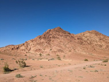 Wadi Rum Desert, Jordan. The red desert and Jabal Al Qattar mountain.Where some famous movies where shot,Star Wars,Lawrence of Arabia.