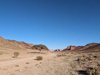 Wadi Rum Desert, Jordan. The red desert and Jabal Al Qattar mountain.Where some famous movies where shot,Star Wars,Lawrence of Arabia.