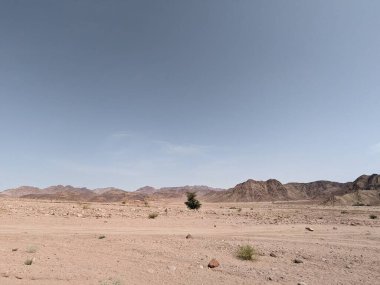 Wadi Rum Desert, Jordan. The red desert and Jabal Al Qattar mountain.Where some famous movies where shot,Star Wars,Lawrence of Arabia.
